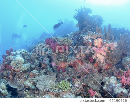 The sea of Fiji 65190516