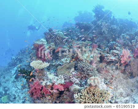 The sea of Fiji 65190519