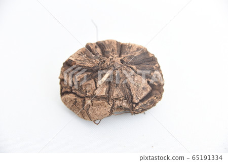 墨西哥烏龜龍（Dioscorea macrostachya）頂視圖 65191334