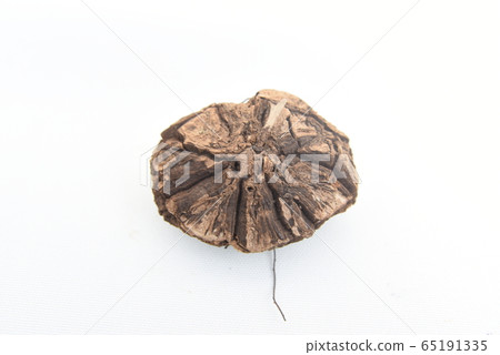 墨西哥烏龜龍（Dioscorea macrostachya）頂視圖 65191335