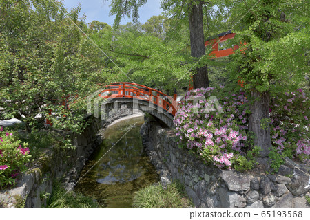 Shimogamo Shrine Mitarigawa Shimogamo Shrine Mitarigawa 65193568