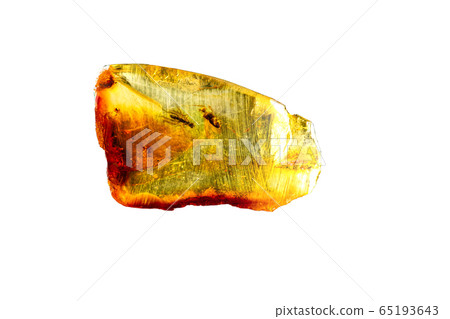 An amazing piece of Baltic amber with prehistoric flies frozen in it. Isolate on a white background. An amazing piece of Baltic amber with prehistoric flies frozen in it. Isolate on a white background. 65193643