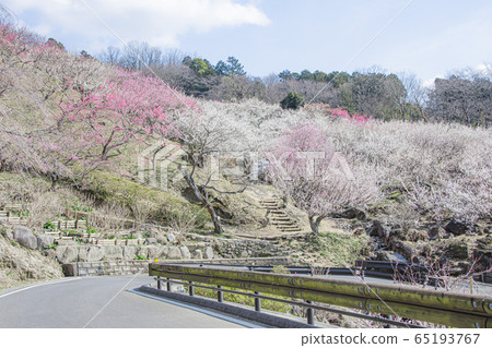 Mt. Tsukuba Bairin 65193767