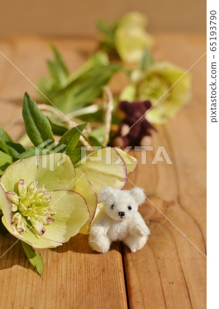 Christmas rose and teddy bear 65193790