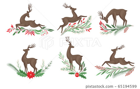 Brown Deer with Antlers and Winter Twigs and Flower Composition Beneath It Vector Set Brown Deer with Antlers and Winter Twigs and Flower Composition Beneath It Vector Set 65194599
