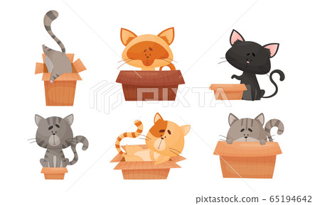 Cute Cat Sitting and Sleeping in Carton Box Vector Set Cute Cat Sitting and Sleeping in Carton Box Vector Set 65194642