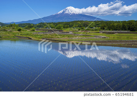 富士山稻田 富士山稻田 65194681