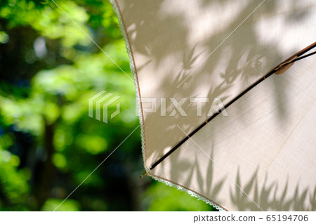 Summer sunshine Summer sunshine 65194706
