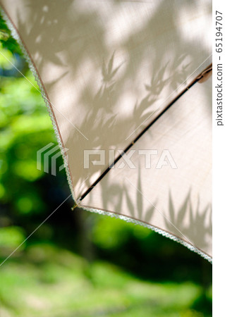 Summer sunshine Summer sunshine 65194707