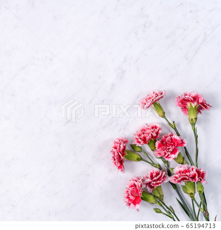 Yasuno Kaoru Bouquet Mother's Day carnation Mother's Day Carnation Yasuno Kaoru Bouquet Mother's Day carnation Mother's Day Carnation 65194713