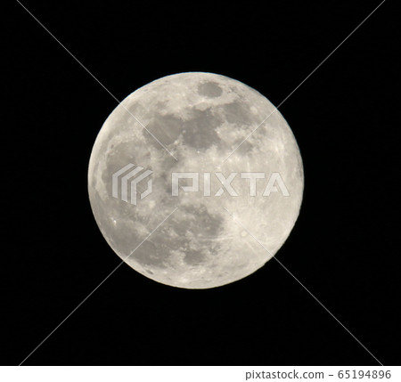  滿月 65194896