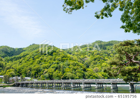 初夏的嵐山 65195756