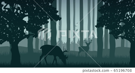 wildlife elk in green forest nature landscape 65196708