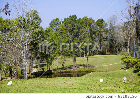 Beautiful golf course in a sunny day. Beautiful golf course in a sunny day. 65198150
