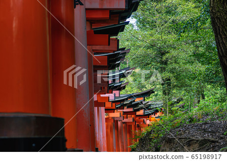 Scenery of Fushimi Inari Shrine in Kyoto Scenery of Fushimi Inari Shrine in Kyoto 65198917