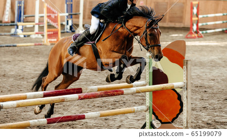 horseman on horse jumping obstacle 65199079