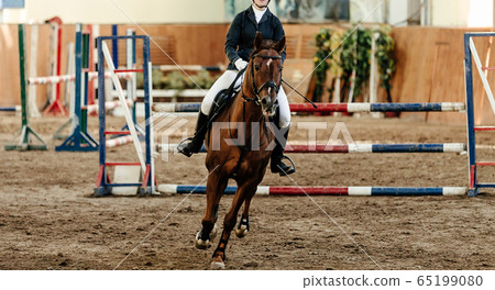 horsewoman on horse in arena 65199080