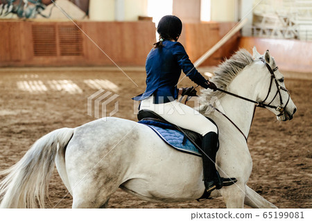 close up horsewoman a horse 65199081