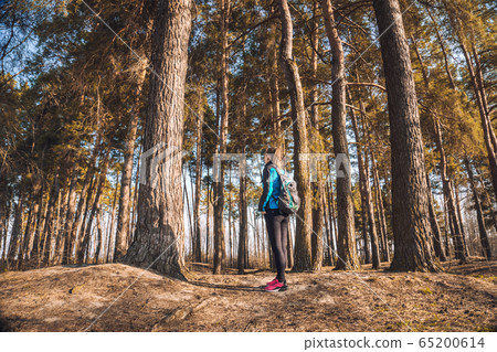 young woman walks in a spring pinewood. young woman walks in a spring pinewood. 65200614