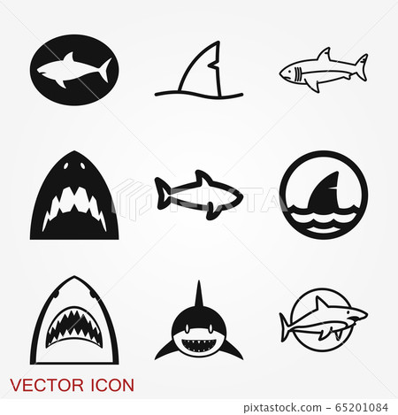 Shark icon. Sea and Ocean Animal symbol isolated 65201084