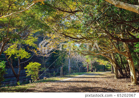 京都山信運河沿路 65202067