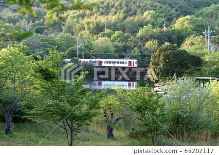 新鮮的綠色岸川線 65202117