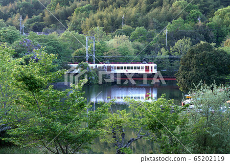 新鮮的綠色岸川線 65202119