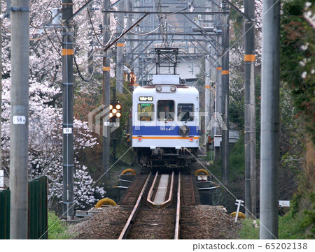 Spring Koshigawa Line 65202138