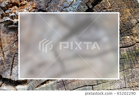 Texture of an old cracked tree. Sawn old log. 65202290