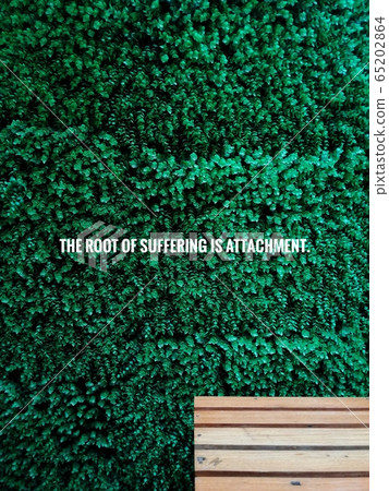 THE ROOT OF SUFFERING IS ATTACHMENT Buddha quote on wooden bench backrest with green plant background 65202864