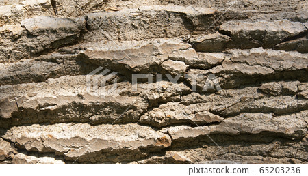 Log surface structure. Stumps and logs. Overexploitation leads to deforestation endangering environment and sustainability. Log surface structure. Stumps and logs. Overexploitation leads to deforestation endangering environment and sustainability. 65203236