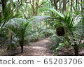 nature, natural, naturals 65203706