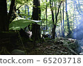 hammock, camp, camping 65203718