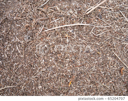 Agricultural background,  dried pressed hay 65204707