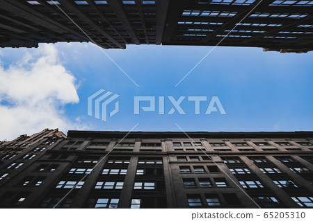 New York New York New York New York 65205310
