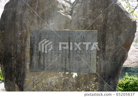 The remains of Iwazumi Nishoishi Elementary School in full bloom The remains of Iwazumi Nishoishi Elementary School in full bloom 65205637