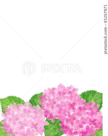 Hydrangea frame lower frame pink 65207971