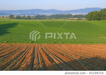 富良野全景路 富良野全景路 65209158