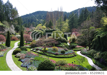Canadian miniature garden Canadian miniature garden 65209631