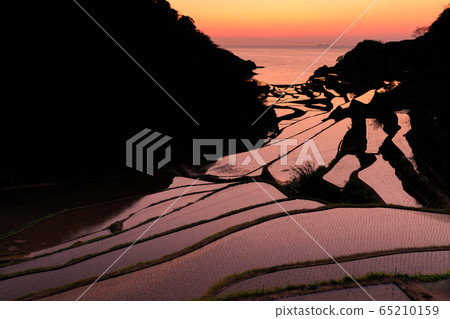 Saga_The beautiful view of the terraced rice fields in Hamanoura Saga_The beautiful view of the terraced rice fields in Hamanoura 65210159