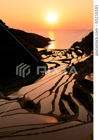 Saga_The beautiful view of the terraced rice fields in Hamanoura Saga_The beautiful view of the terraced rice fields in Hamanoura 65210181