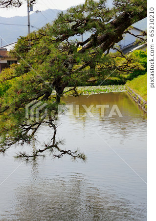 Aki castle ruins 65210210