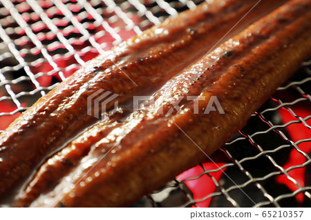 Grilled eels of eel Grilled eels of eel 65210357