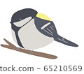 Great tit perched on a tree branch 65210569