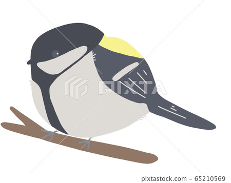 Great tit perched on a tree branch 65210569