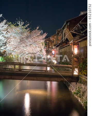 《京都府》只園白川夜櫻花 《京都府》只園白川夜櫻花 65210732