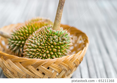 Young organic Durian 65211168