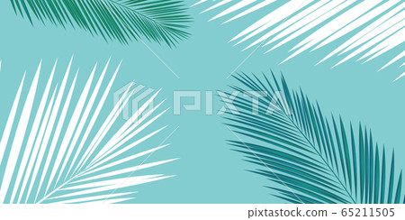 棕櫚樹葉背景 65211505