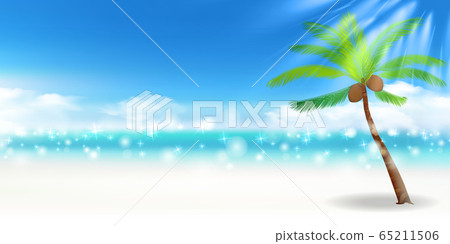 海棕櫚夏天背景 海棕櫚夏天背景 65211506