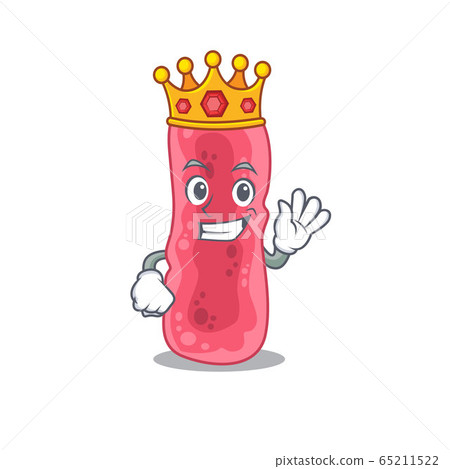 A Wise King of shigella sonnei mascot design style 65211522